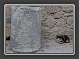 lindos_2010_013