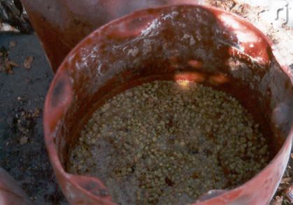 Maische f&uuml;r Souma