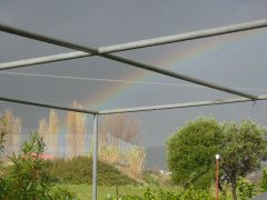 Regenbogen